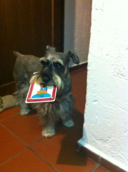 PERROS