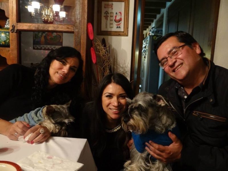 PERROS