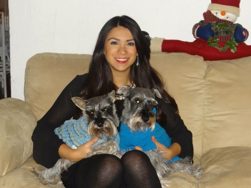 PERROS Y GATOS