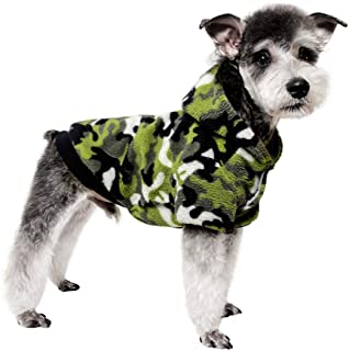 perrito