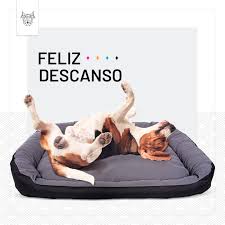 CAMA PARA PERROS